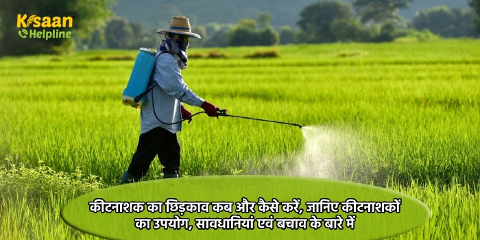 कीटनाशक का छिड़काव कब और कैसे करें, जानिए कीटनाशकों का उपयोग, सावधानियां एवं बचाव के बारे में